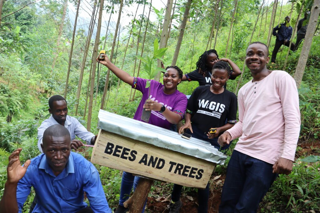 project team and the host